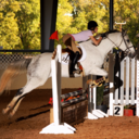 equestrian-perfection avatar