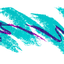 fruda-grape