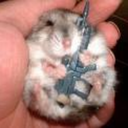 hamsterquest-blog avatar