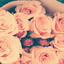 rosegoldlightning