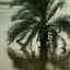 sajanshah7