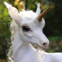 OOAK Posable Baby Unicorn Soft Sculpture--