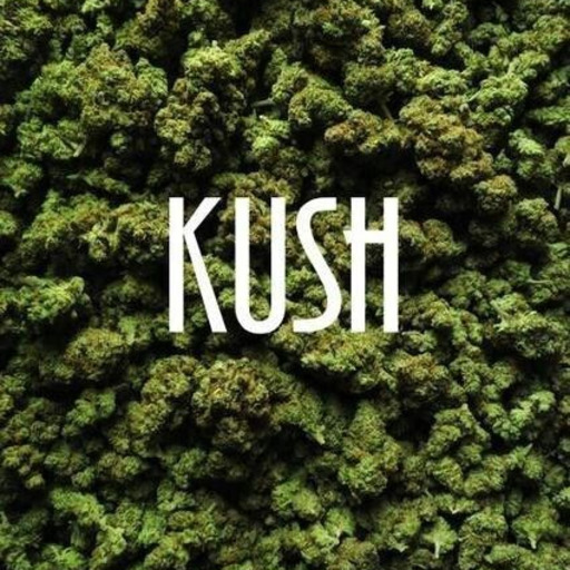 moonlitgemini:slowly becoming one of my favs (Ghost Train Haze