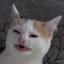 bigboi642