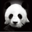 allmightypanda