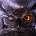 nightfallowl:  Guys… Owl…https://vine.co/v/Oe3qaAu0hK5