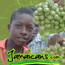 jamaicansdotcom avatar