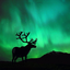 lady-arctic