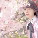 teamsakura98: sakura during holiday, expectation vs reality: expectation: a doll