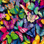 hercolourfullife