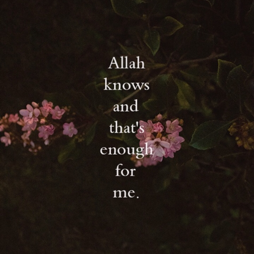 أشهد أن لا إله إلا الله و أشهد أن محمد رسول الله☝️