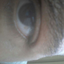 lionsclausegrey