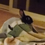 iloveurbun