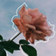 verymuchsims4enjoyer