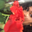 awayfromsocietyy-blog