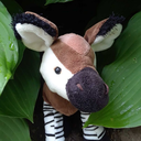 webkinz-okapi avatar