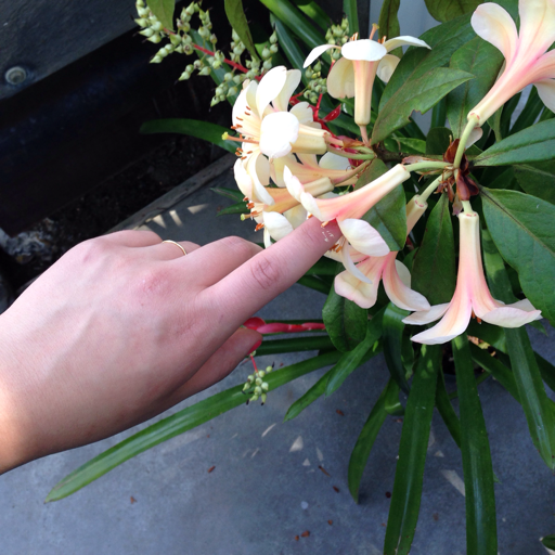 daisy-scum:  but really, how does one flirt  