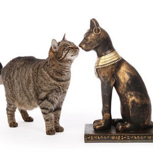 Animal Protection Spell