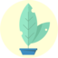 phthalostudies-blog