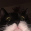 queefybeefy