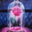 disneyfairytalexoxo