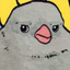 snarkygremlin