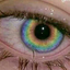 alex-yas-blog