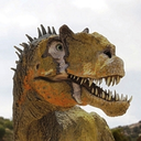 Sinister sound of  Tyrannosaurus Rex  heard for first time in 66 million years
