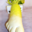 jellytoucher
