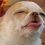 --canyounot-