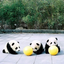 thecameraisatouristinrealit-blog
