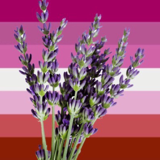 lavendersbian:why does “sexually liberated” or “in control of her sexuality” have to mean “has a lot of sex” I hate this sex positive bullshit what you’re essentially saying is that women who don’t have a lot of sex aren’t ~liberated~