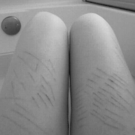 ptv-my-loves.tumblr.com/post/96302442610/