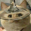 spookspeaker
