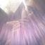 spermatid