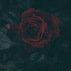ritafasa03-blog