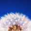 visualbreathing
