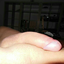ziioneria2