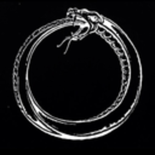 cruelsuggestions: The year 2017 will not treat you any differently than the previous because the measure of time is an arbitrary concept created by humans and time is continuous.