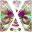 jxeyes
