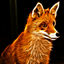 redfoxblog