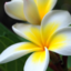 ourlordandsaviorplankton-blog