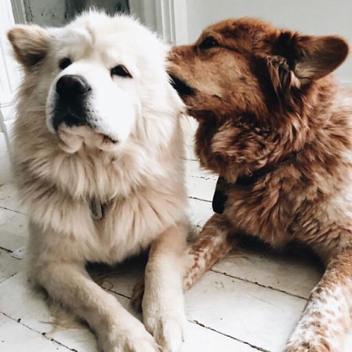 ♡ ♡ ♡