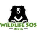 wildlifesos avatar