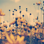 dayswithdanielle-blog