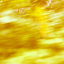 kvltvreshock-blog