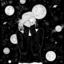 musesandknights