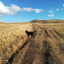 bigofloyd-blog