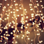 thecityliights