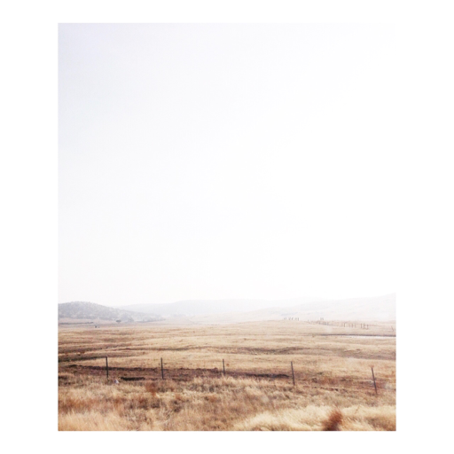 shen-anigansinterrupted:Listening to Mufasa’s voice over say “One day, the sun will set on my time here” while that magnificently harrowing wildebeest stampede thunders across the screen and I am already sobbing ten times harder than I thought was